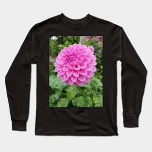 Light Pink Dahlia 2 Long Sleeve T-Shirt